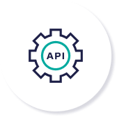 API Key