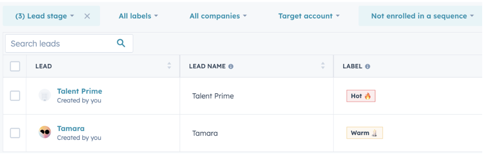 Filtering Labels and Identifiers in the HubSpot Lead Object